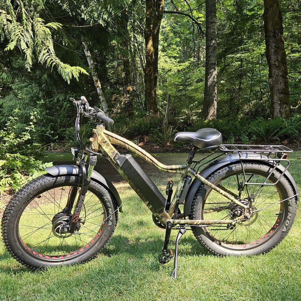 E Bike 250 Oder 500 Watt