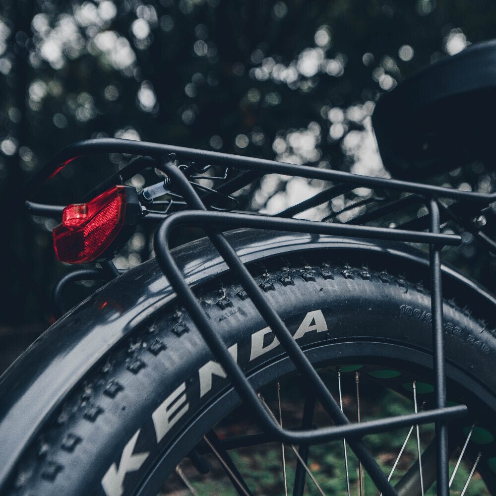 All-Conditions Electric Bike