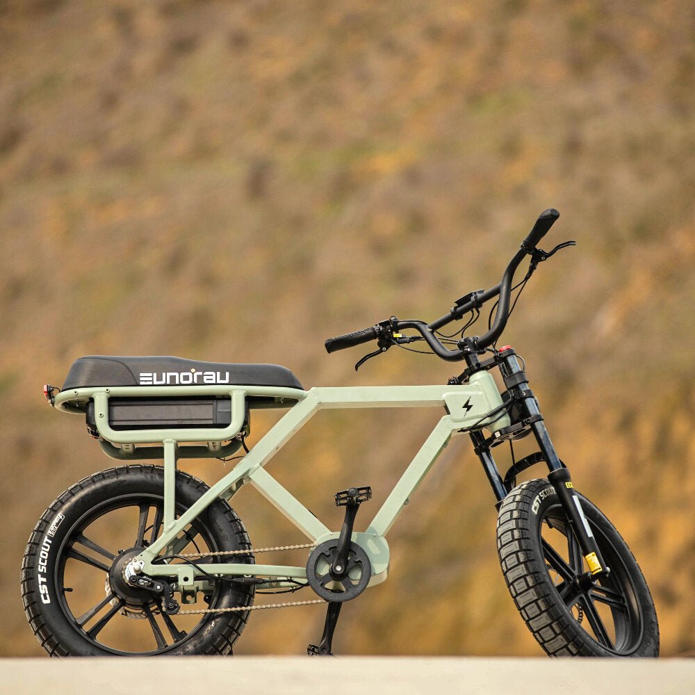 Extreme Range E-Bike