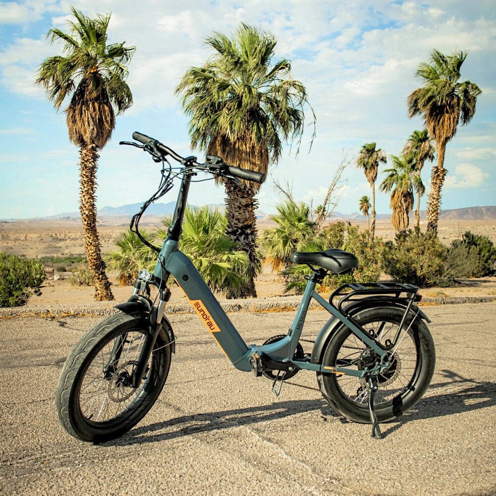 500W E-Bike Motor Electric Bike Frame