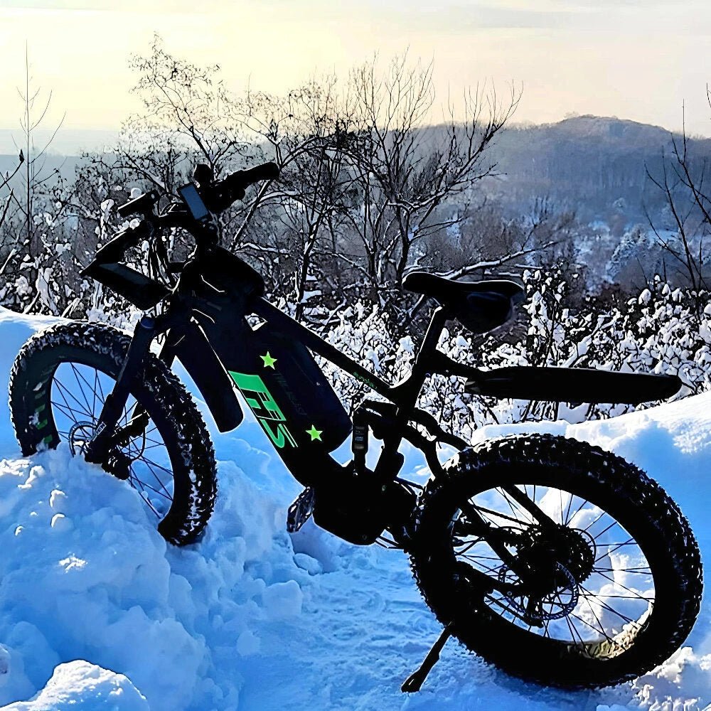 4 inch Electric Bike Fat Tires – Watt Wheels
