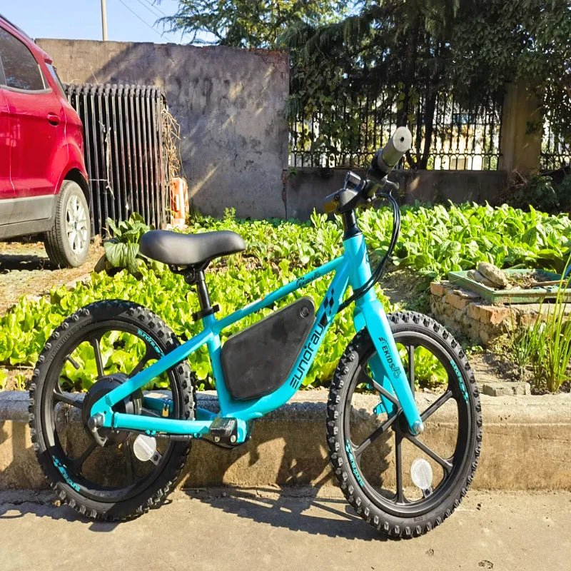 Kids E-Bikes Electric Bike Frame