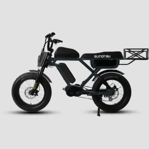 All Products and Accessories Electric Bike Frame