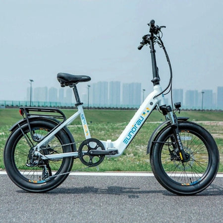 Convenient Step-Thru Electric Bikes
