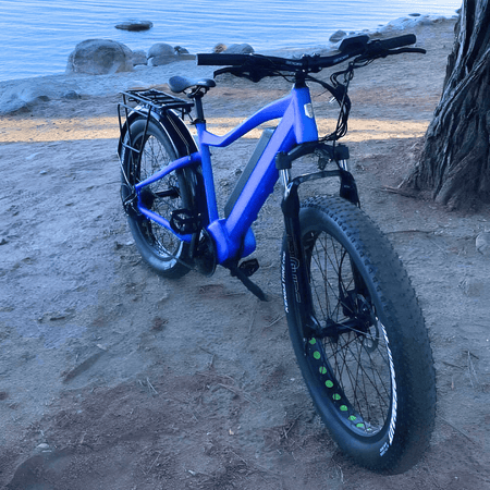 Sleek Cruise Electric Bikes