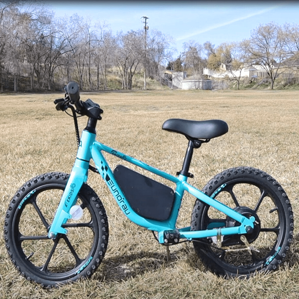 2 inch E-Bike Tire Electric Bike Frame