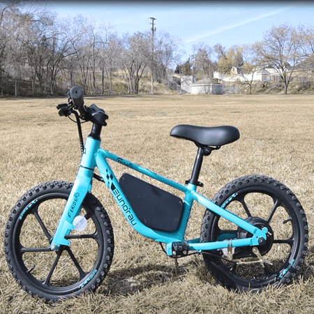 Electric Bikes featuring 2-inch tires