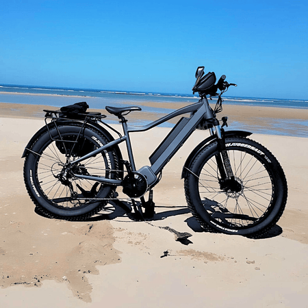 Collection of FAT Model Electric Bikes
