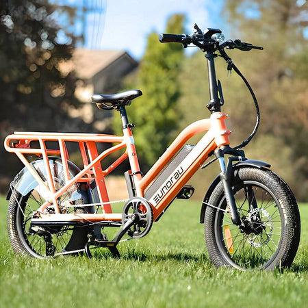 G30-Cargo Electric Bikes