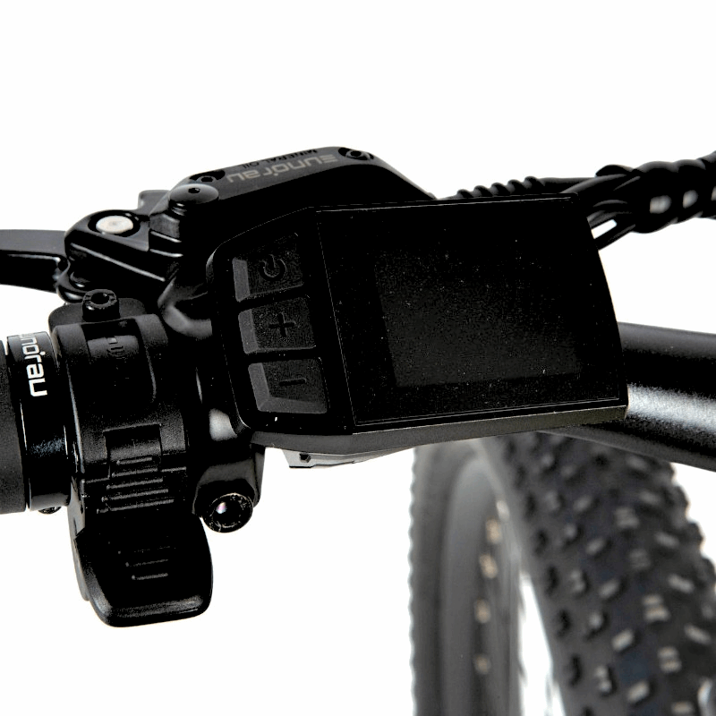 Close-up of the front hydraulic disc brake with a 180mm rotor mounted on an e-bike, providing reliable braking power and control for various terrains.