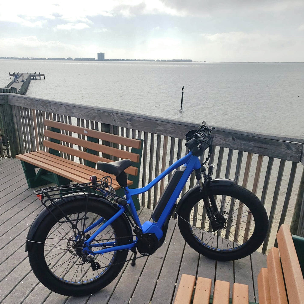 FAT-HD 1000W Mid-Drive 4inch Kenda Krusade Fat Tire 160Nm E-Bike Blue