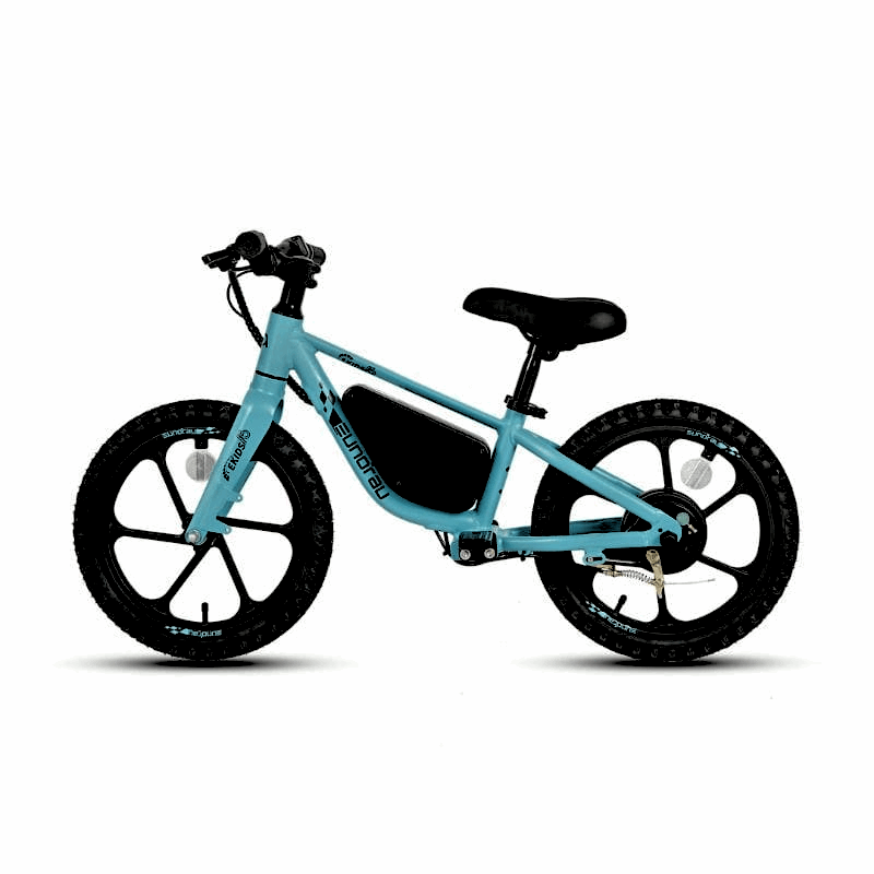 E-Kids Aquamarine Balance Electric Bike