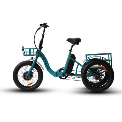 New Trike Power and Practicality 20x3