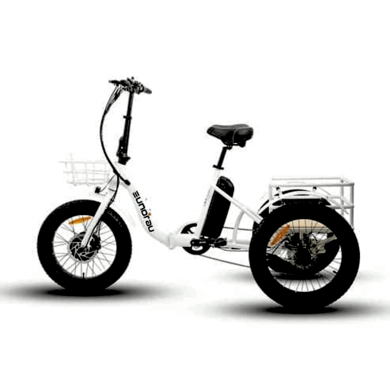 NEW eTRIKE White 440lb payload 80Nm Torque Fat Hub-Drive Power and Practicality