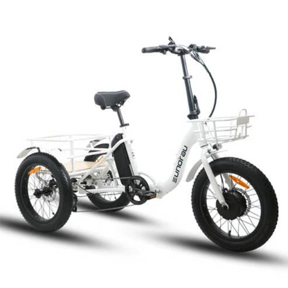 New Trike Power and Practicality 20x3
