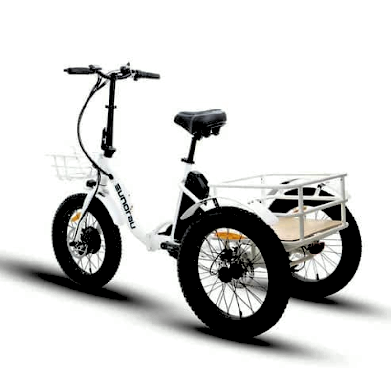 NEW eTRIKE White 440lb payload 80Nm Torque Fat Hub-Drive Power and Practicality