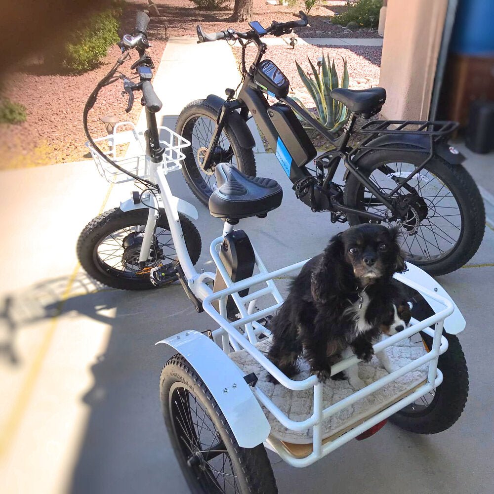 Range - 70+ miles with secondary battery