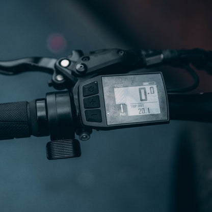 Display Model - C3 / BC182 LCD