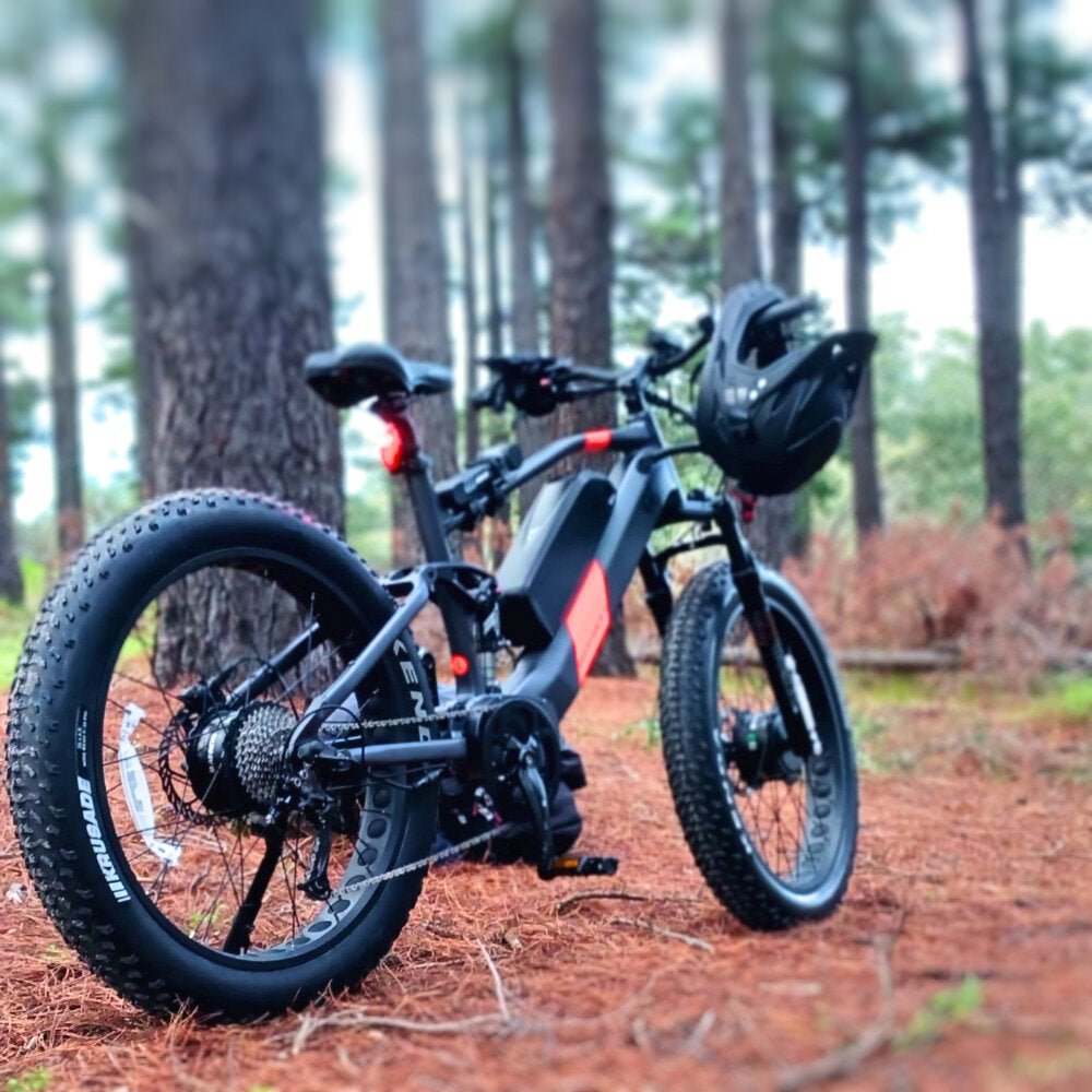 Woods Electric Bike