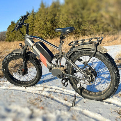 Snow E-Bike