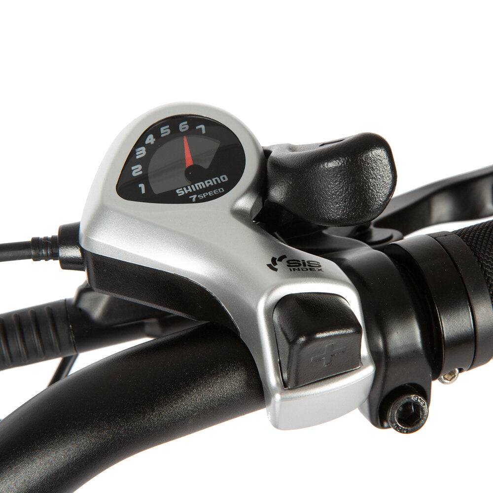 E-FAT-STEP All-Terrain