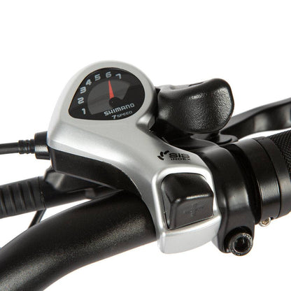 E-FAT-STEP All-Terrain