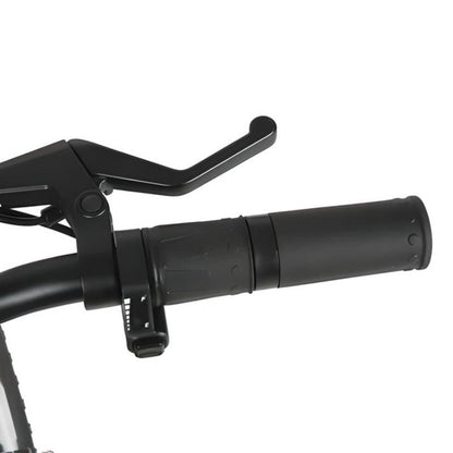 Shifter: Single speed