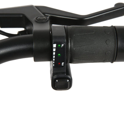 Brakes: 160mm disc brakes with motor cutoff switch