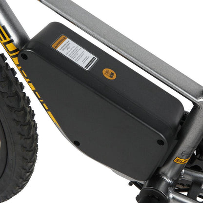 Freewheel: 16T single speed