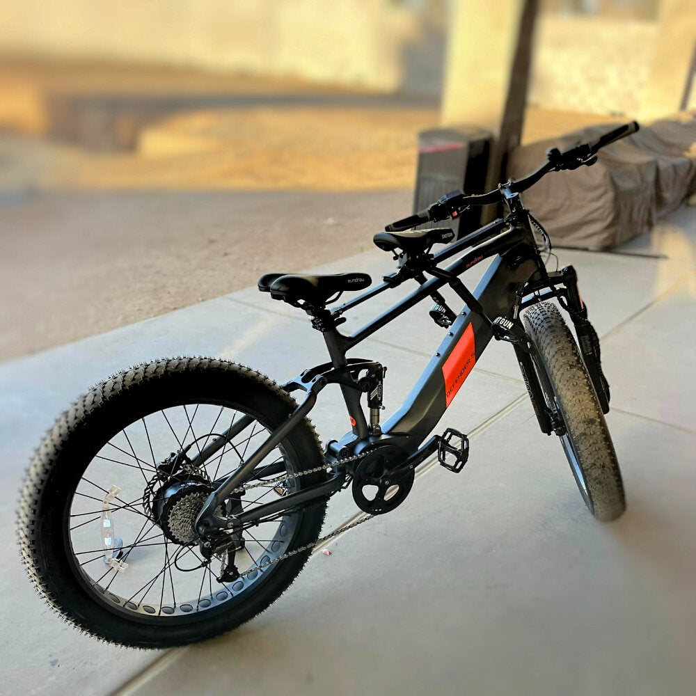 17-in Gray Frame Elite All-Terrain Mountain eBike