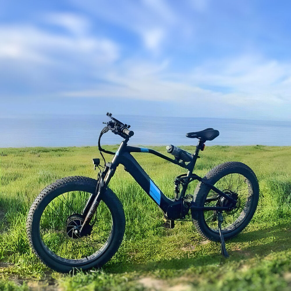 17-in Black Frame Elite All-Terrain Mountain eBike