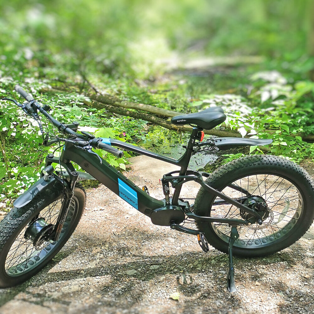 17-in Black Frame Elite All-Terrain Mountain eBike