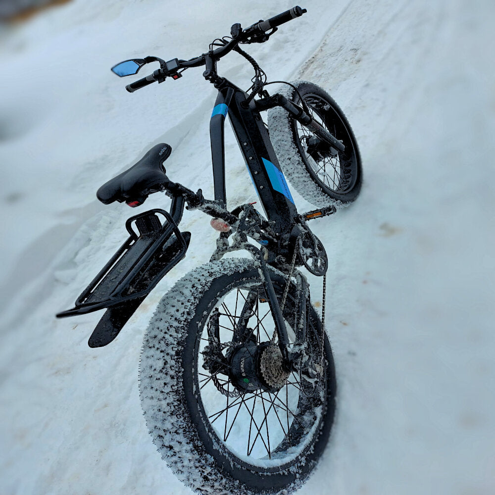 17-in Black Frame Elite All-Terrain Mountain eBike