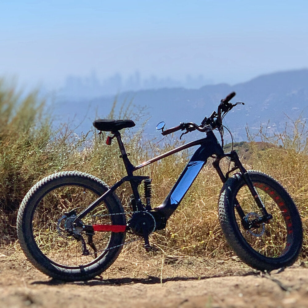 17-in Black Frame Elite All-Terrain Mountain eBike