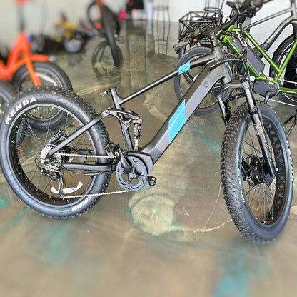 17-in Black Frame Elite All-Terrain Mountain eBike