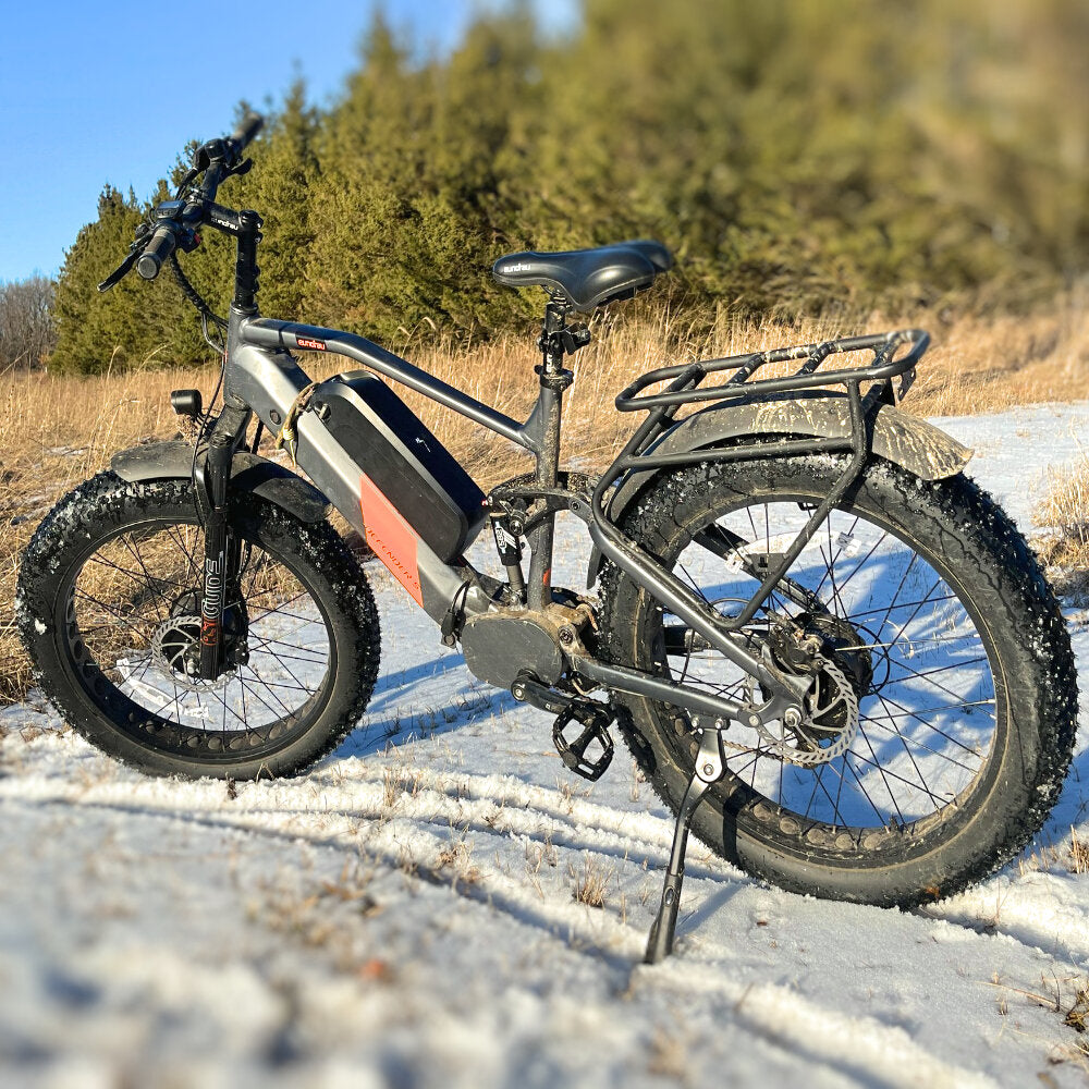 17-in Gray Frame Elite All-Terrain Mountain eBike