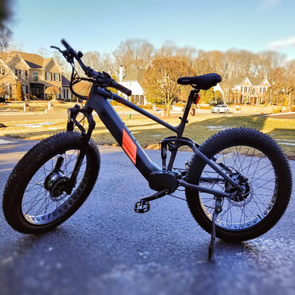 17-in Gray Frame Elite All-Terrain Mountain eBike