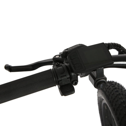 Chain Ring: 42T chain-wheel crank