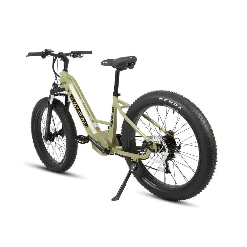 All-Terrain Electric Bike