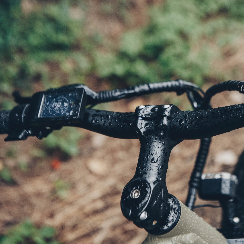 Rugged Electric Bike