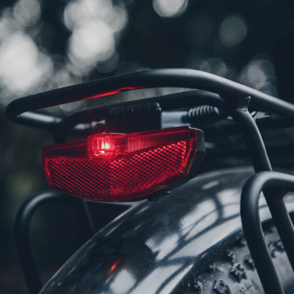 Electric Cross Electric Bike