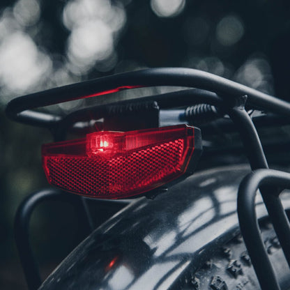 Electric Cross Electric Bike