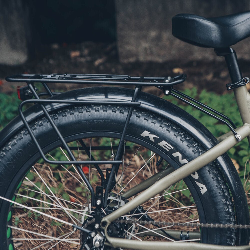 Dual Battery Electric Bike