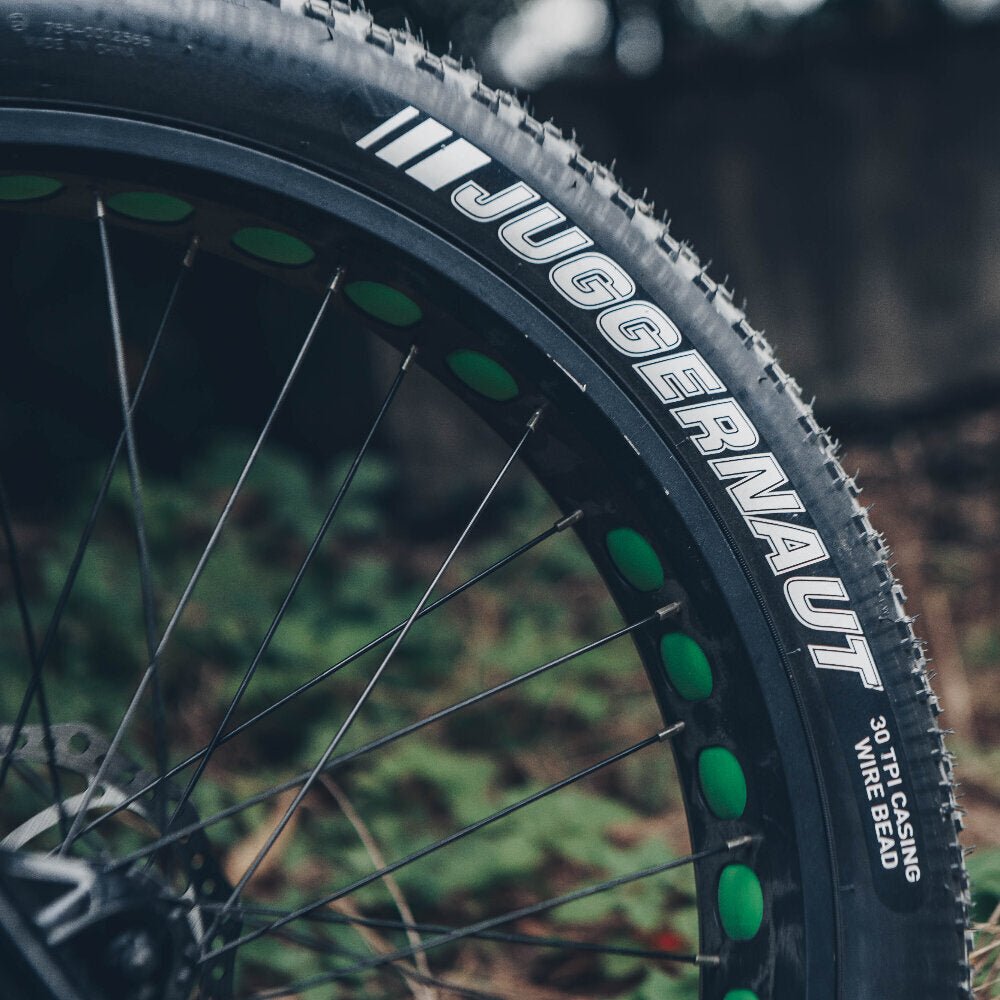 Courier Electric Bike