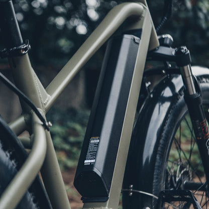 All-Purpose Electric Bike