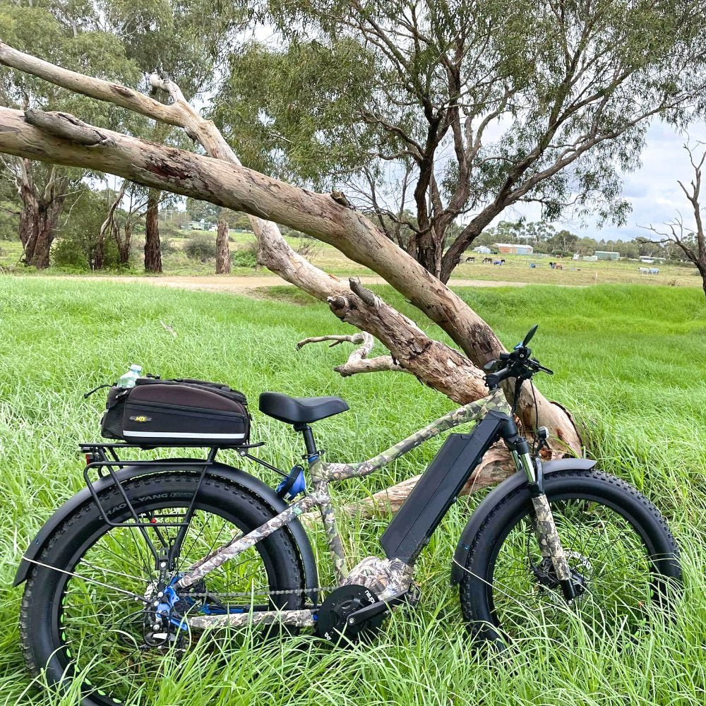 Warranty: 10-Year on the frame