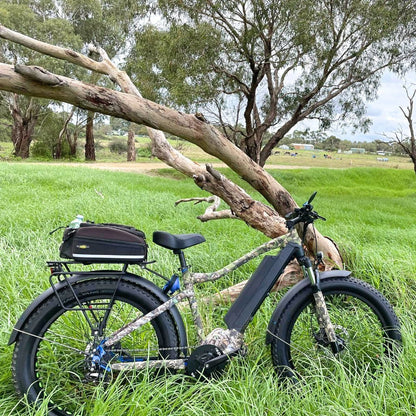 Warranty: 10-Year on the frame