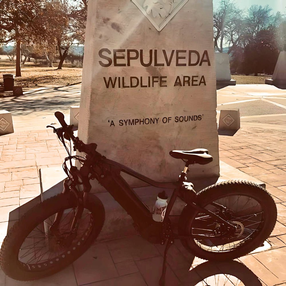 Chain Stay: 500mm/19.7in