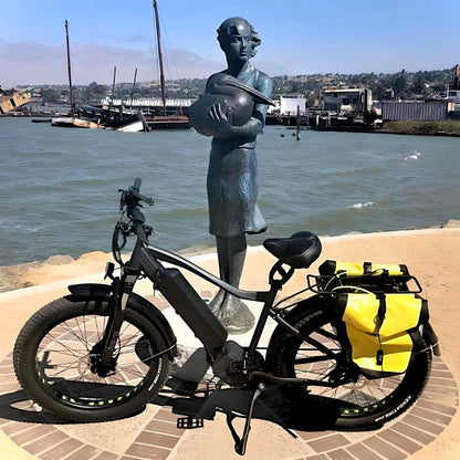 Bracket Height: 320mm/12.6in