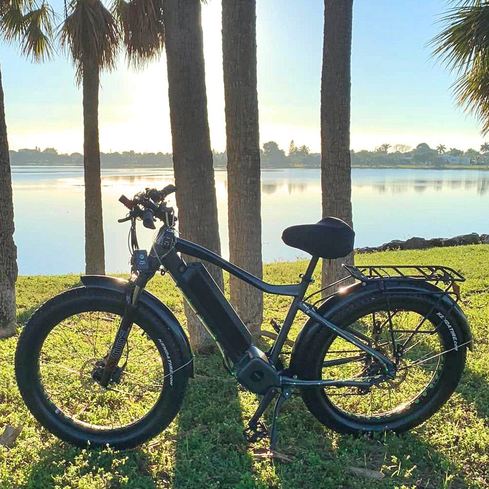 All-Terrain Electric Bike